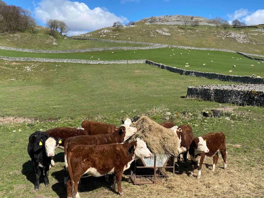 Charming Dog-Friendly Yorkshire Dales Cottage, Austwick Εξωτερικό φωτογραφία