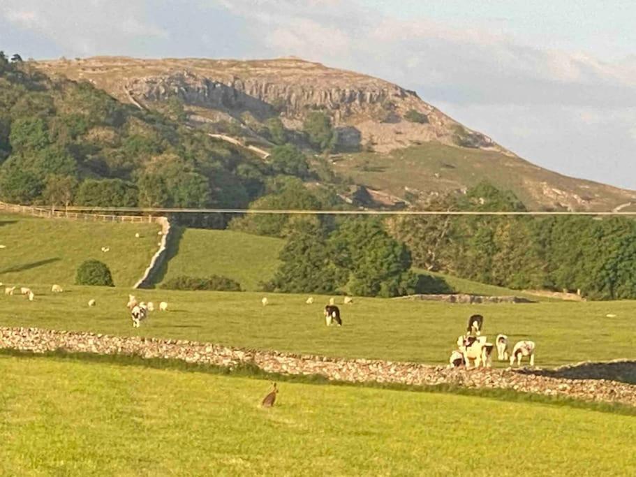 Charming Dog-Friendly Yorkshire Dales Cottage, Austwick Εξωτερικό φωτογραφία